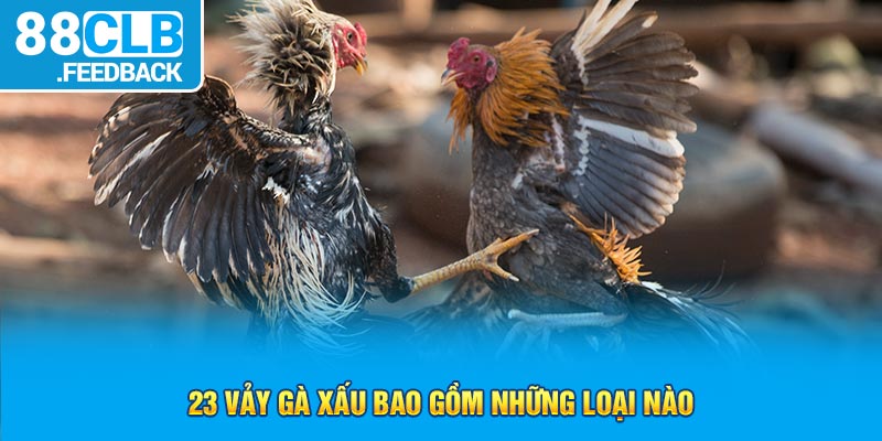 23 vảy gà xấu bao gồm những loại nào