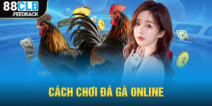 Hướng Dẫn Cách Chơi Đá Gà Online Đỉnh Cao Tại 88CLB