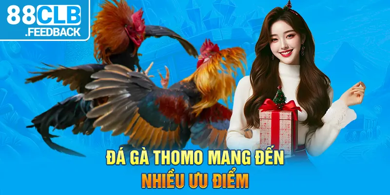 Đá gà Thomo mang đến nhiều ưu điểm 