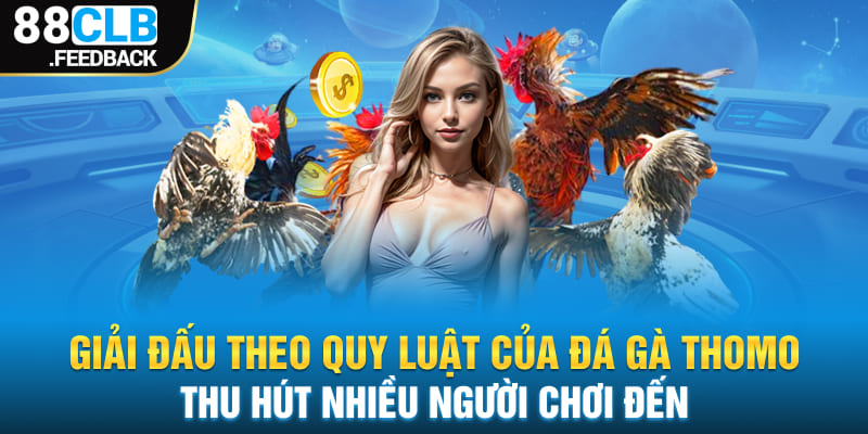 Giải đấu theo quy luật của đá gà thomo được vận hành cực kỳ chặt chẽ, nghiêm ngặt 