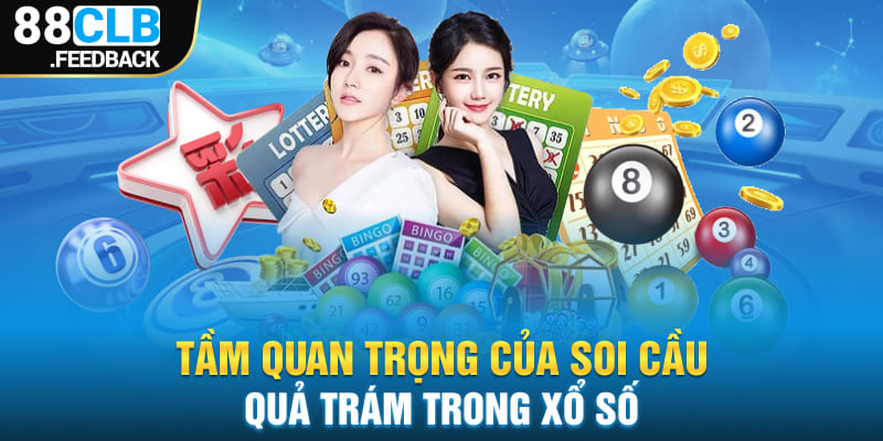 Tầm quan trọng của soi cầu quả trám trong xổ số