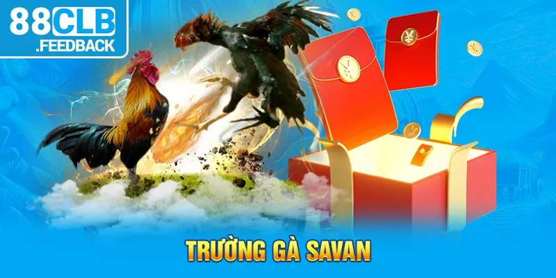 Trường Gà Savan - Đấu Trường Nổi Tiếng Chọi Gà Cùng 88CLB